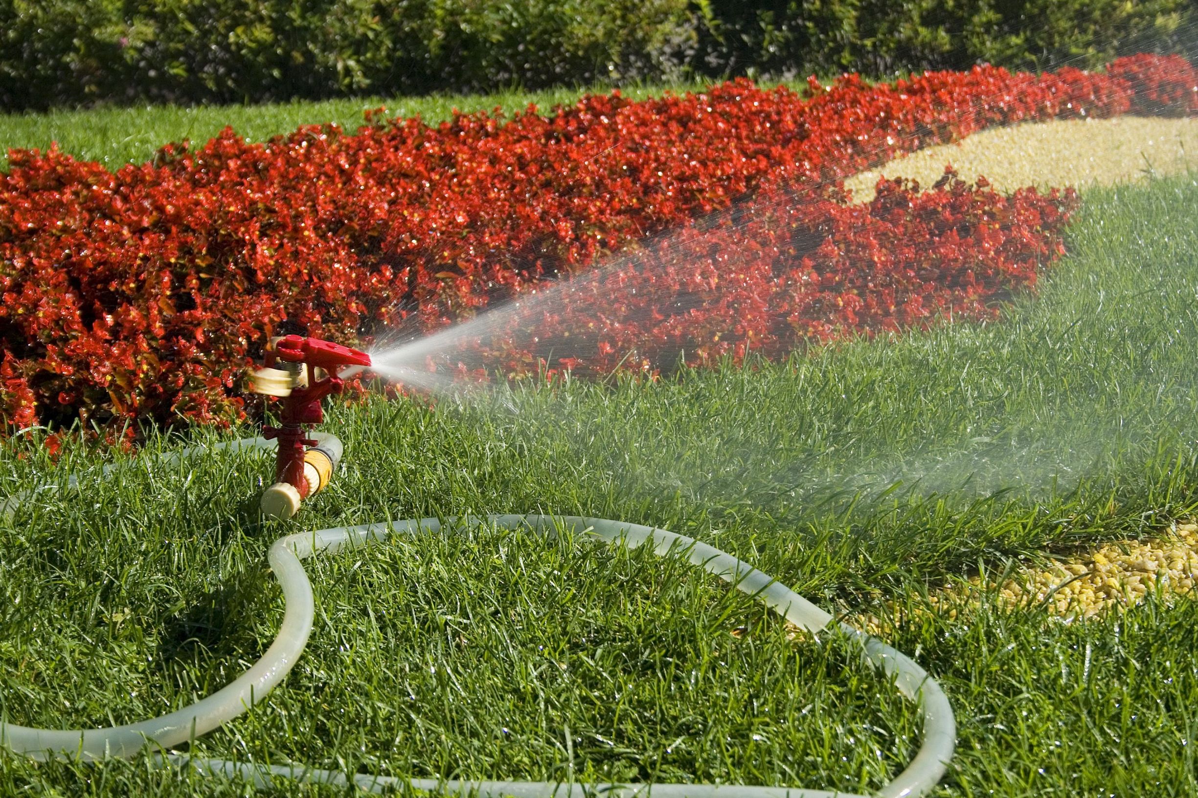 Landscape Plant Nursery Raleigh NC Experts Share Tips for Sustainable Garden Success