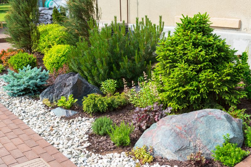 Transform Your Yard with Expert Landscaping Services in Wellington, CO