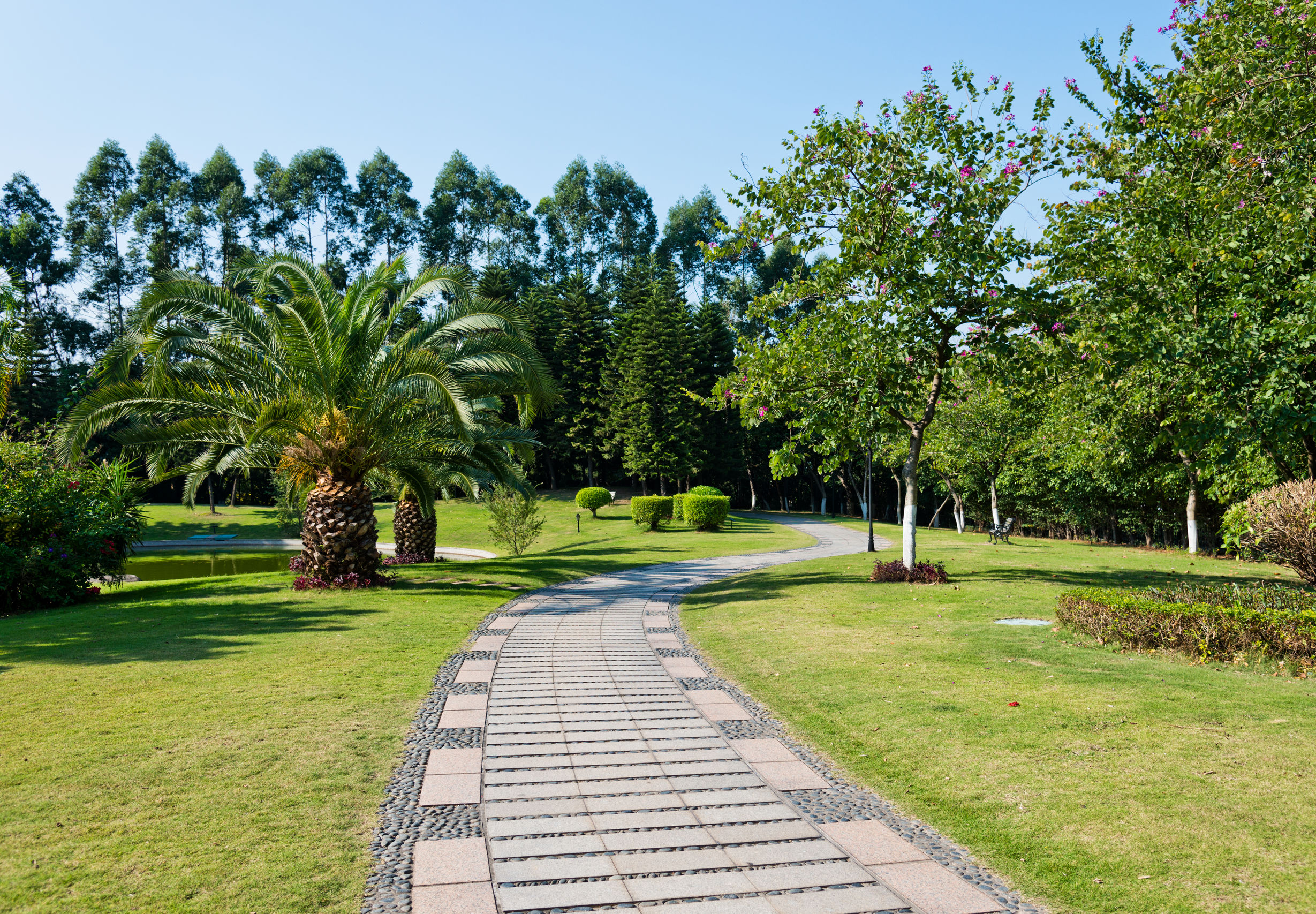 Improve Your Home’s Curb Appeal with Residential Landscape Services in Yakima, WA