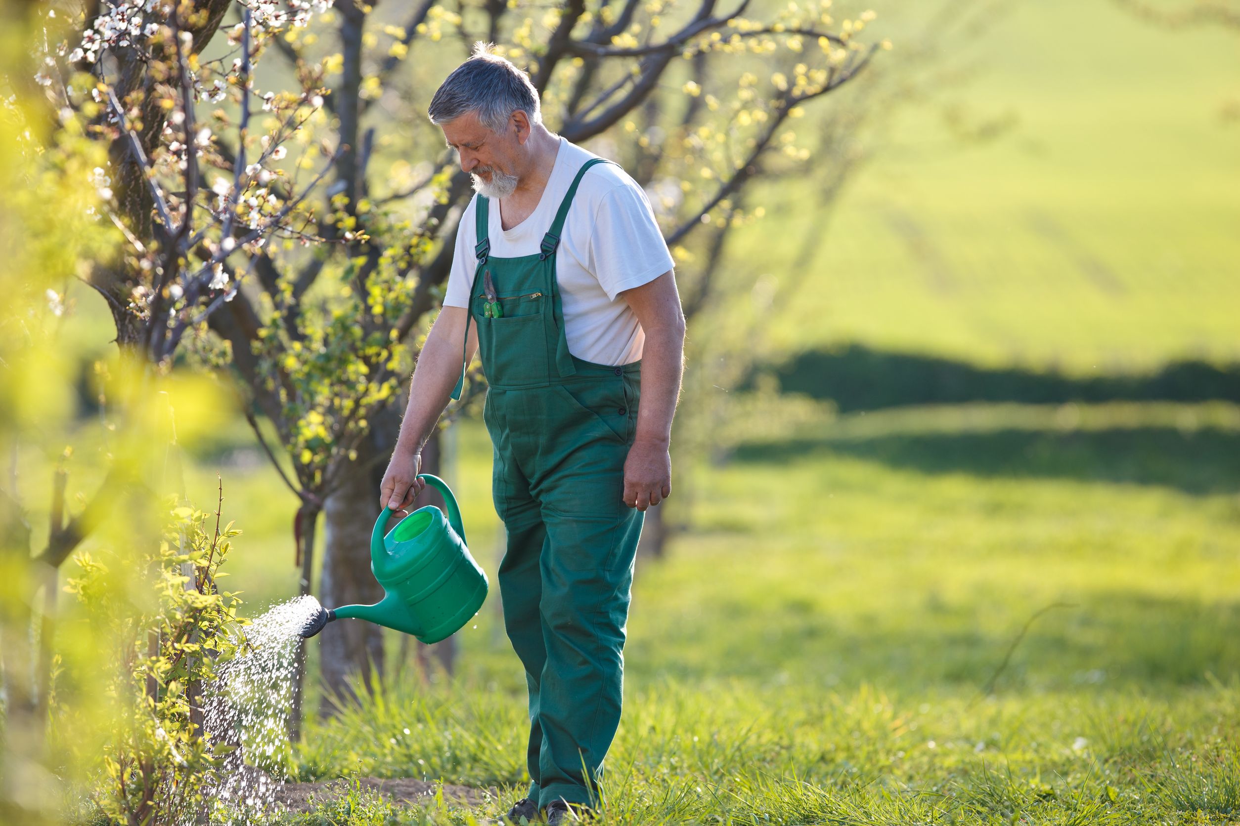 How homeowners benefit from reliable tree care services near Middletown Township NJ
