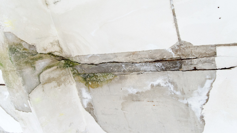 The Importance of Timely Removal of Residential Mold Problems in Escondido