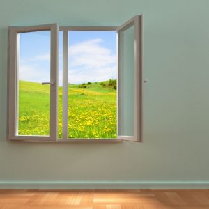 Tips to Maintain Your Illinois Home Window to Get Longer Service