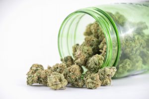 Looking for the Best Dispensary in Bozeman?