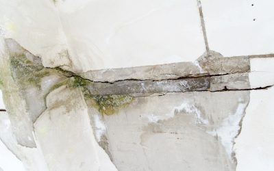 Situations That Require Assistance From Mold Companies in Newnan, GA