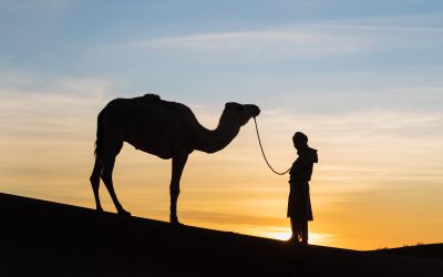 Traverse Stunning Landscapes on a Memorable 3 Days Tour from Marrakech to Merzouga Desert