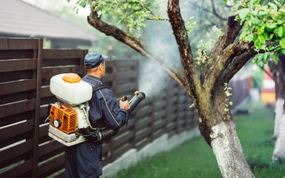 A Comprehensive Guide to Tree Care Services in Clarksville, IN