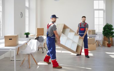 Master Your Move: How Commercial Movers Near Maple Grove MN Can Help