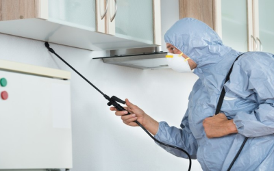 Top Reasons to Choose a Pest Control Company in Newnan GA