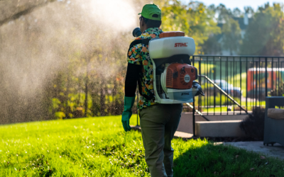 Effective Mosquito Control in Haymarket, VA: Tips for a Bite-Free Summer