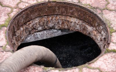 Protect Your Home From a Flooded Basement in Chicago Solutions for Lasting Peace of Mind