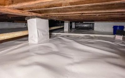 What Homeowners Should Do About Mold In My Crawl Space Arkansas Before Damage Spreads