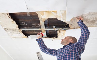 Quick Solutions For Homeowners Needing Water Damage Cleaning In Noblesville IN