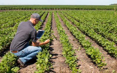 Learn How Agricultural Service Stockton MO Supports Local Farmers With Modern Solutions