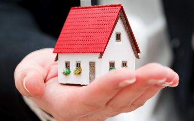 Explore Spacious Layouts In Pet Friendly Apartments For Rent Tallahassee FL