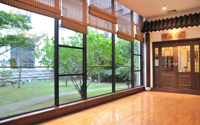 Why Interior Green Wall Services Chicago, IL Are Trending in Modern Urban Homes