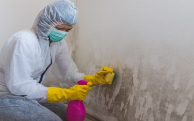 Avoid Hidden Dangers in Your Home by Scheduling Asbestos Removal In Denver, CO