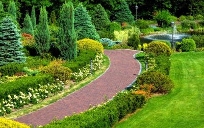 Create Clean and Modern Yard Lines with Concrete Edging Solutions in Marshall, WI