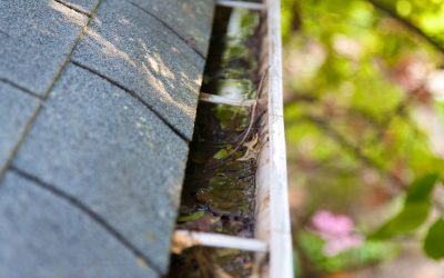 Essential Maintenance Tips for Gutters in Tampa, FL to Prevent Costly Repairs